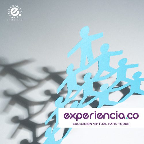 Doctorado en Educación e Innovación - PLUS