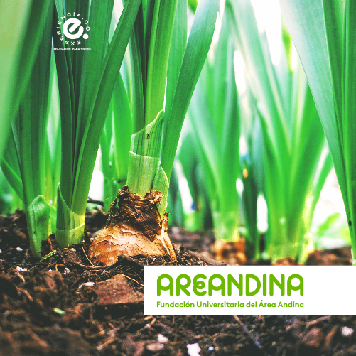 Especialización en Gestión Ambiental