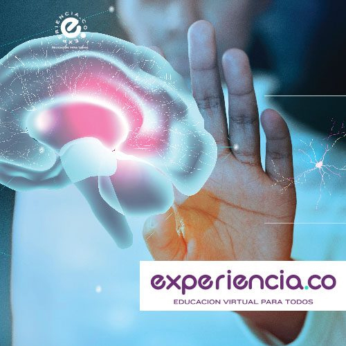 Congreso de Neuroeducación, Aprendizaje e Interculturalidad - Congreso de Neuroeducación